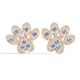 Zampa Petite Studs - round brilliant diamond earrings - in 18ct yellow gold - hand-made in Byron Bay Hinterland, Australia by Lucano Fine Jewellery