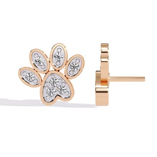 Zampa Petite Studs - round brilliant diamond earrings - in 9ct white gold - hand-made in Byron Bay Hinterland, Australia by Lucano Fine Jewellery