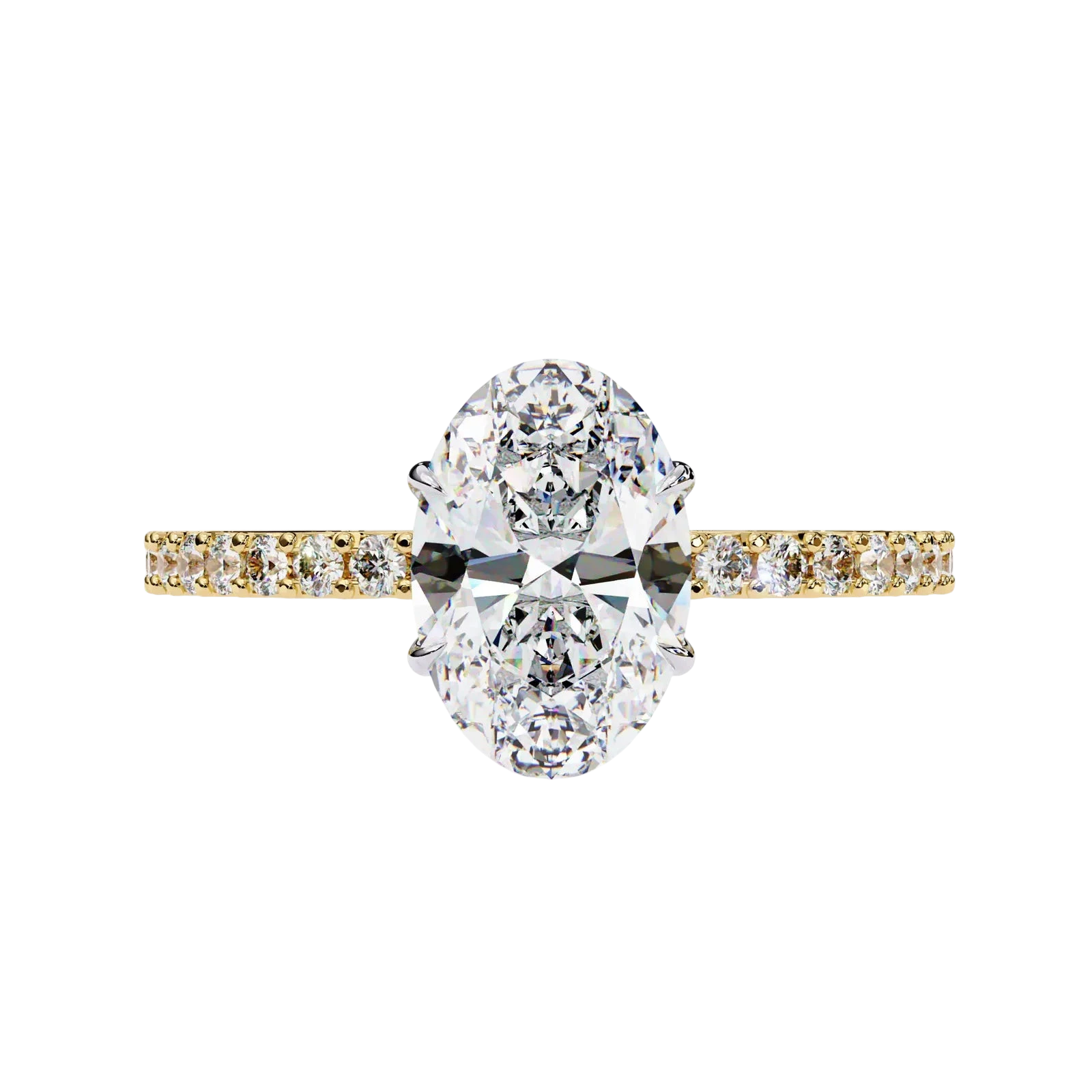 Mira Oval Pavé Solitaire - oval pavé engagement ring - detail close-up - Lucano