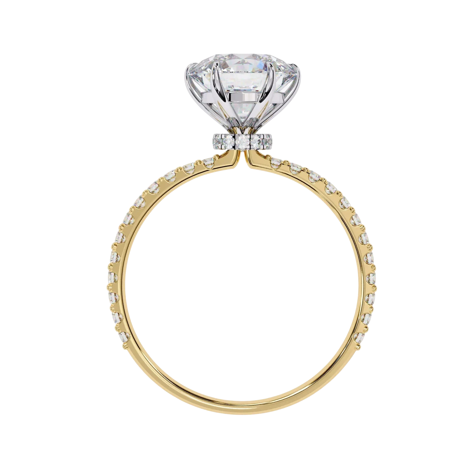 Mira Round Pavé Solitaire - round brilliant pavé engagement ring - in 9ct white gold - Lucano