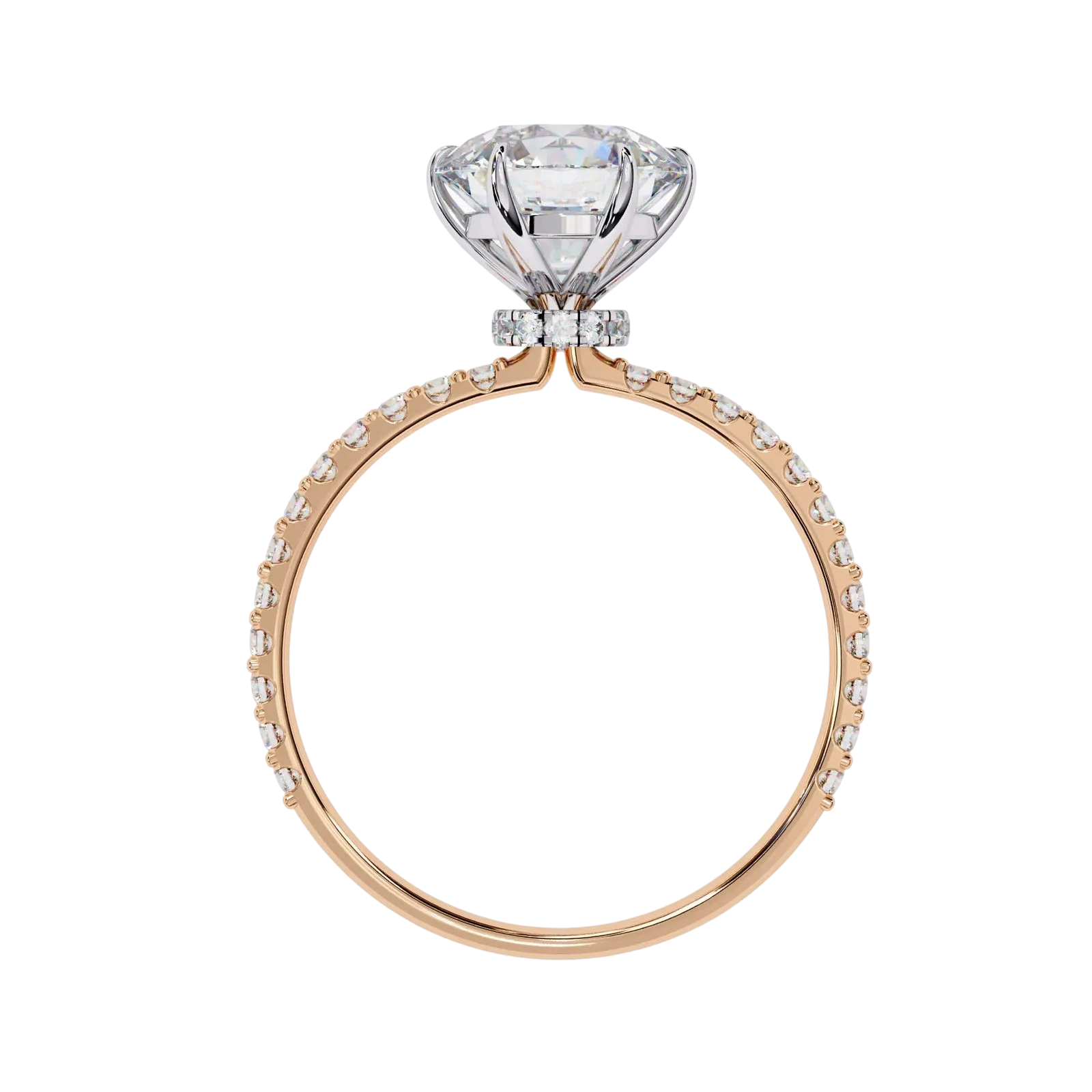 Mira Round Pavé Solitaire - round brilliant pavé engagement ring - in 9ct rose gold - Lucano