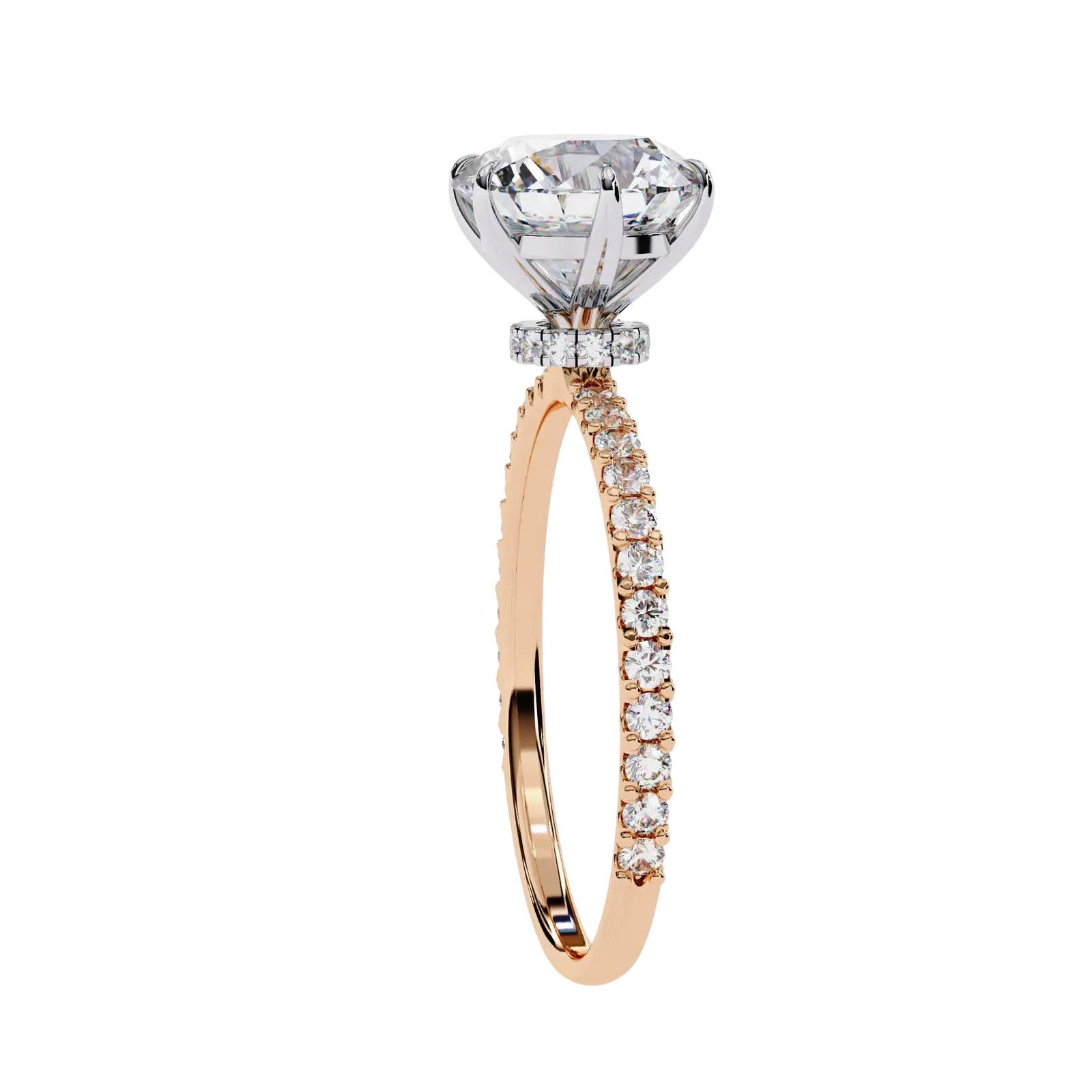Mira Round Pavé Solitaire - round brilliant pavé engagement ring - three-quarter view - Lucano