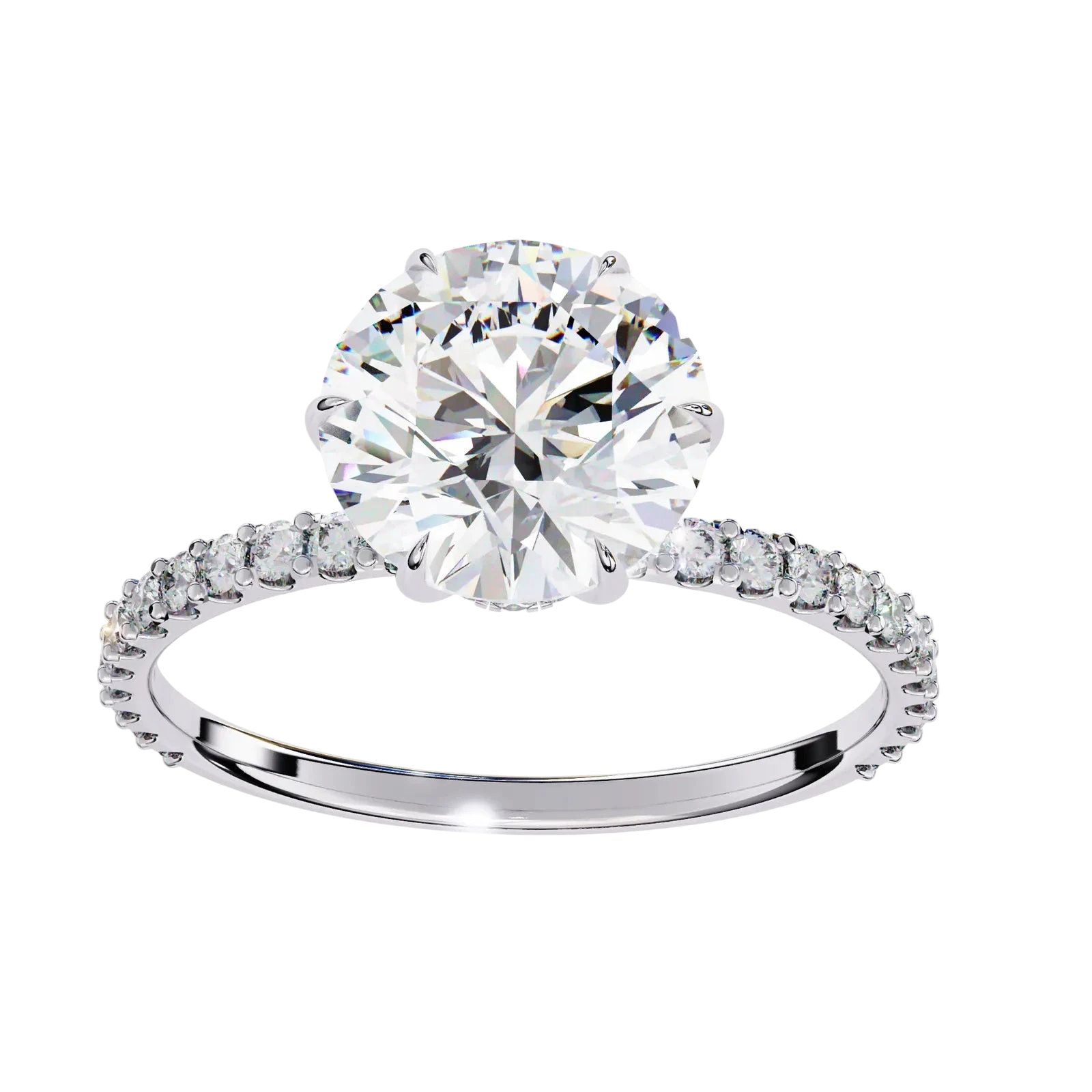Mira Round Pavé Solitaire - round brilliant pavé engagement ring - detail close-up - Lucano