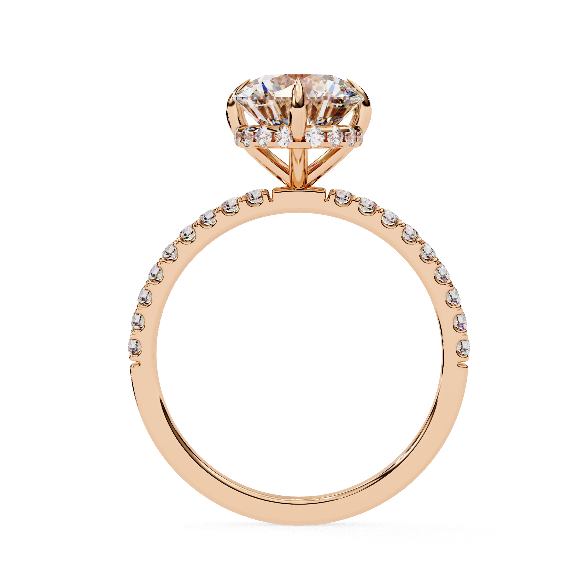Mira Round Pavé Solitaire - round brilliant pavé engagement ring - detail close-up - Lucano